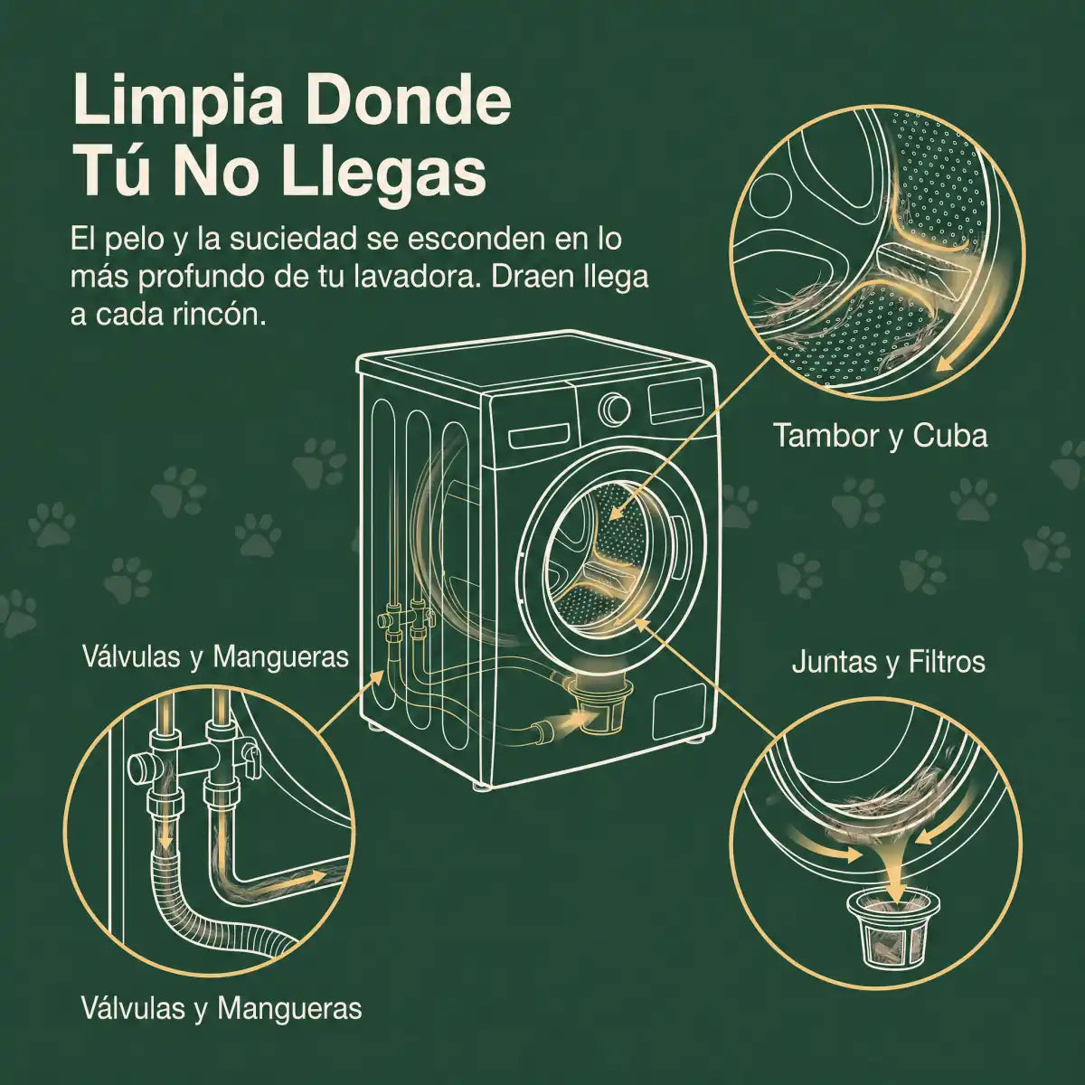 Draen limpia donde no llegas: tambor, valvulas, mangueras, juntas y filtros