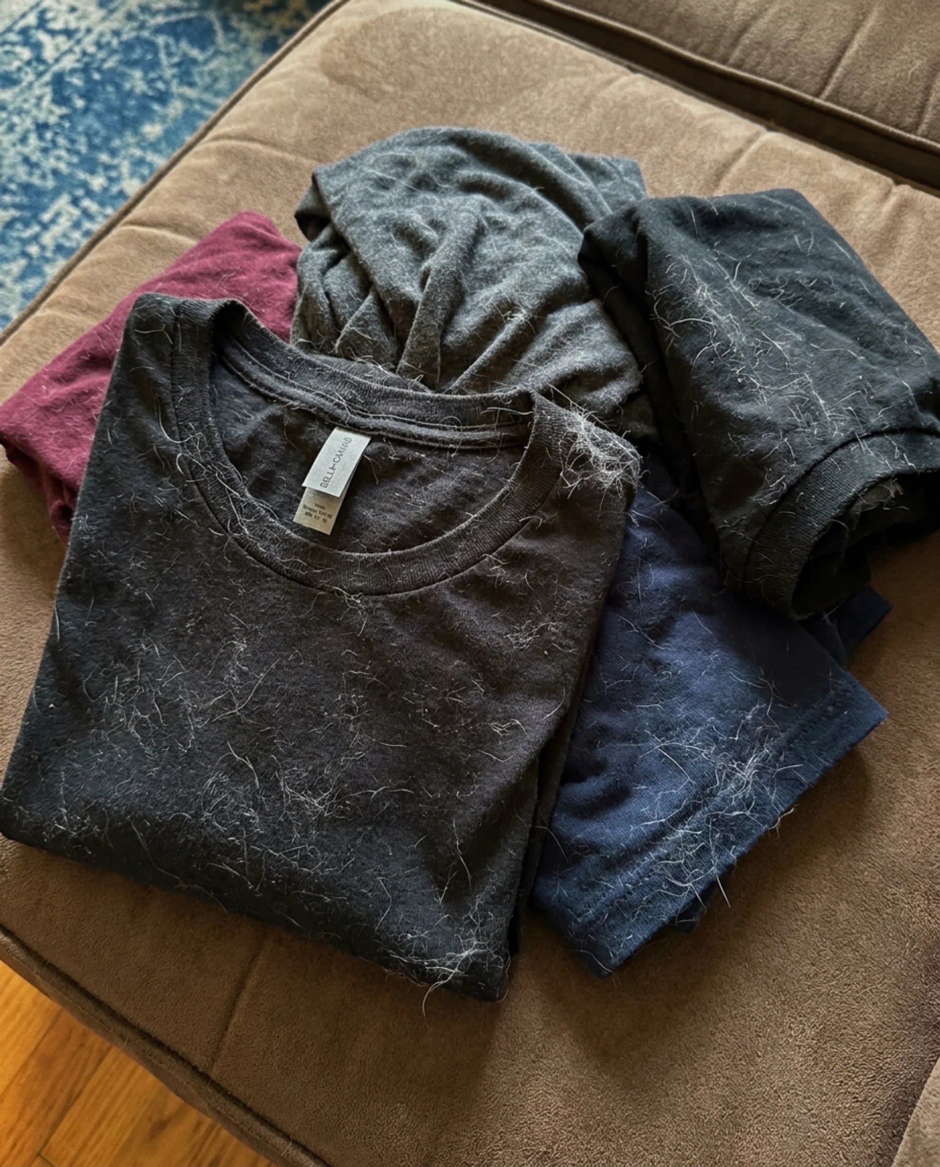 Draen before/after — dark tees clean, no pet hair (AFTER)